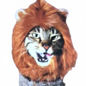 NWOT Bootique Lion Mane cat Halloween S/M